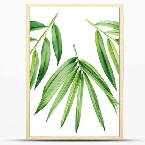 Tropical leaves. palm leaf, bamboo. Set of watercolor tropical floral illustrations with green leaves . High quality illustration