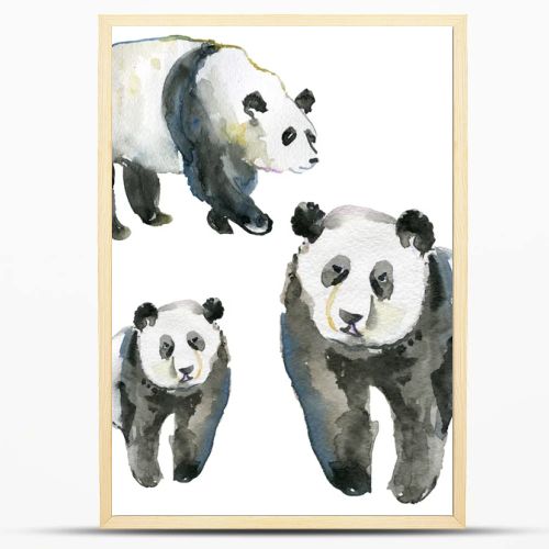 watercolor hand painted Pandas