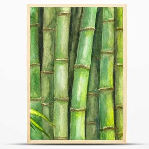 Green bamboo background.