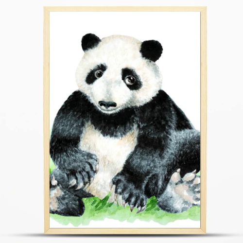 Panda cub sitting on grass on a white background, hand drawn watercolor illustration.