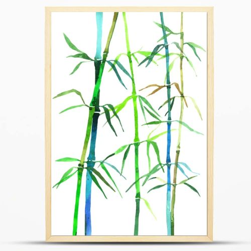 watercolor illustration bamboo