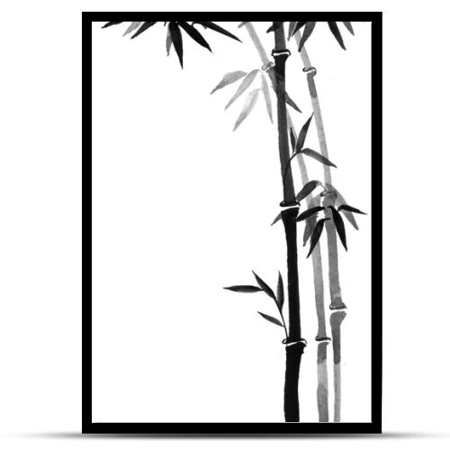 Bamboo trees ink in traditional Japanese painting style sumi-e.