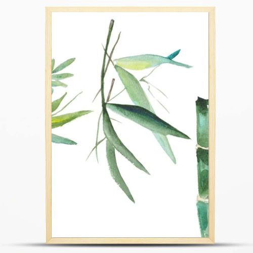 Watercolor bamboo illustration