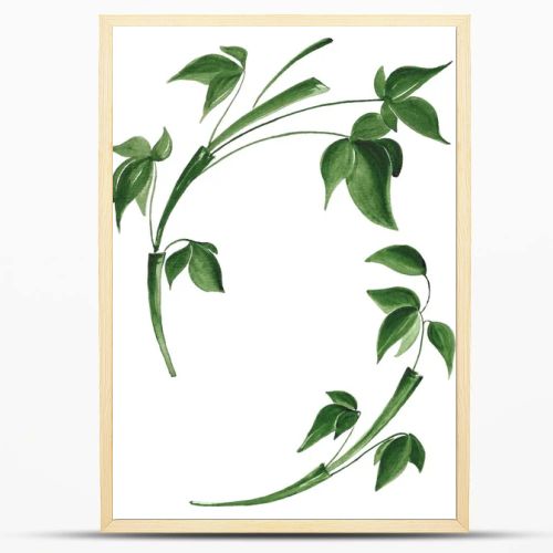 Isolated bamboo leaves on white background