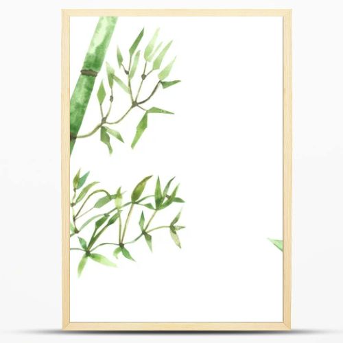 Watercolor hand painted nature eco tropical composition with green bamboo leaves on branches isolated on the white background, jungle plants illustration for design elements