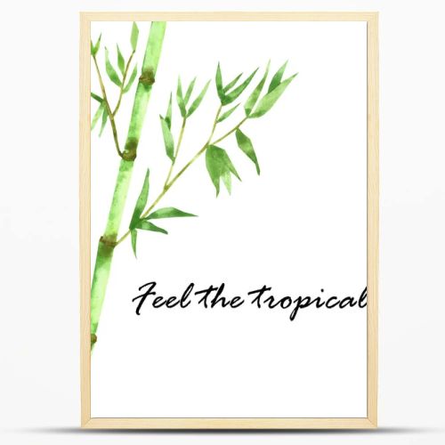 Watercolor hand painted nature eco asian composition with green jungle bamboo stem branch with leaves on the white background with feel the tropical text for design elements and cards