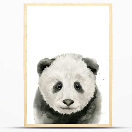 Baby panda portrait. Animal head. Watercolour illustration on white background.