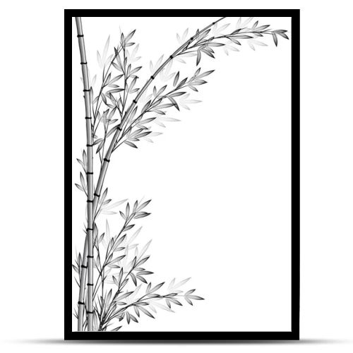 bamboo tree vector drawing