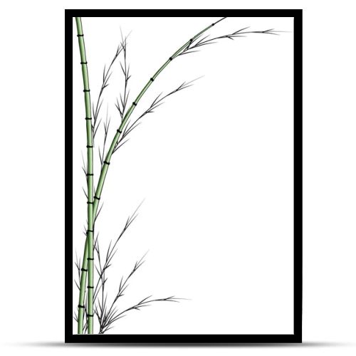 bamboo tree vector drawing