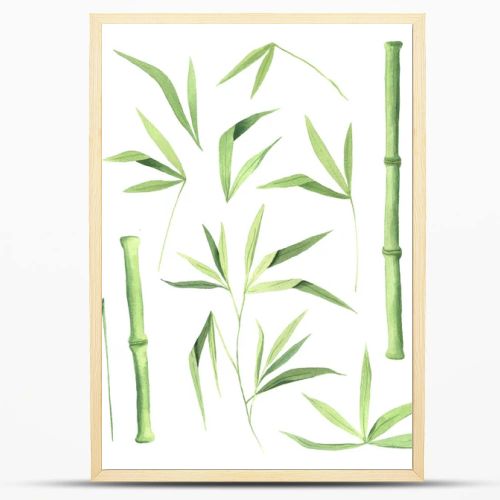 Watercolor green bamboo plant set