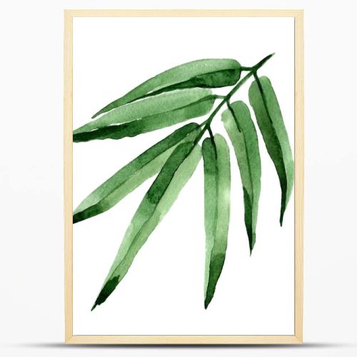 Tropical leaves bamboo tree in a watercolor style isolated.