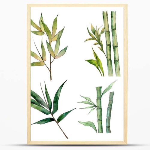 Bamboo tree in a watercolor style isolated.