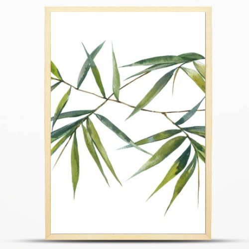 Watercolor illustration painting of bamboo leaves