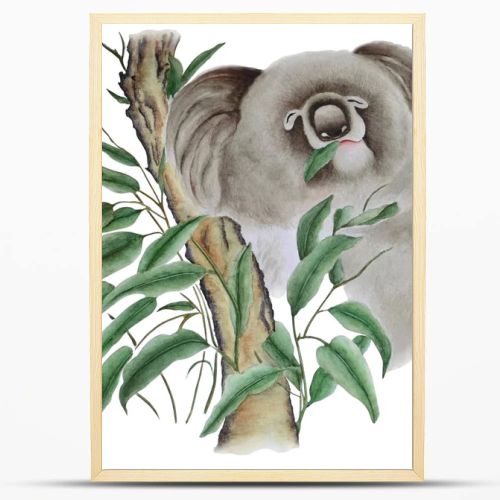 The watercolor shows a cute koala on a eucalyptus branch, she's eats leaves. Illustration executed in chinese style, isolated on white background.