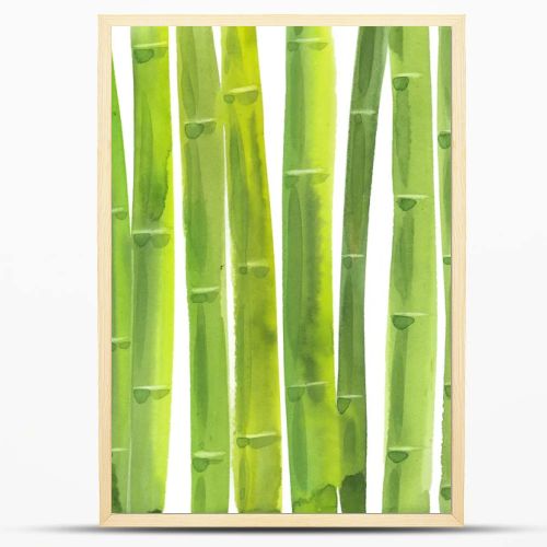 bamboo stalks. Hand drawn watercolor painting. Illustration  on white background