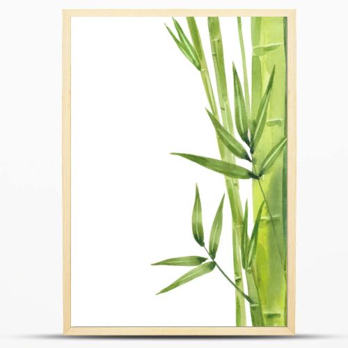 watercolor bamboo stalks