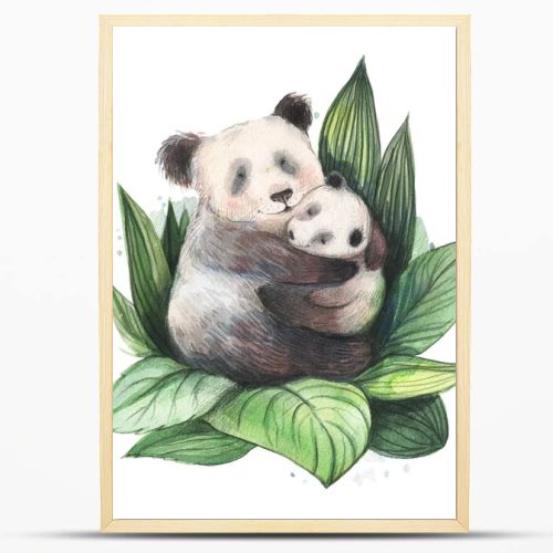 Panda family with adult mother and little bear. Watercolor illustration on a white background. Cute mom holding a little baby. Jungle, forest wildlife, zoo characters. Two pandas cuddle.