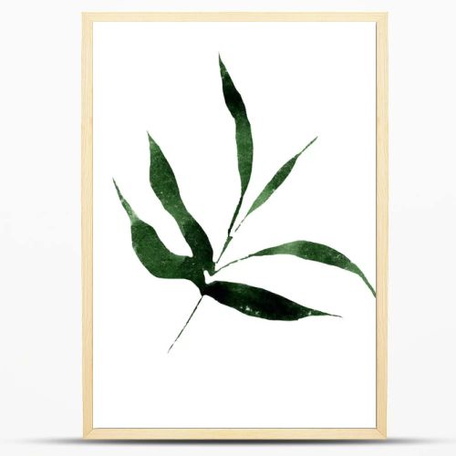 Isolated bamboo and bambooleavs illustration element. Watercolor background illustration set. Aquarelle isolated.