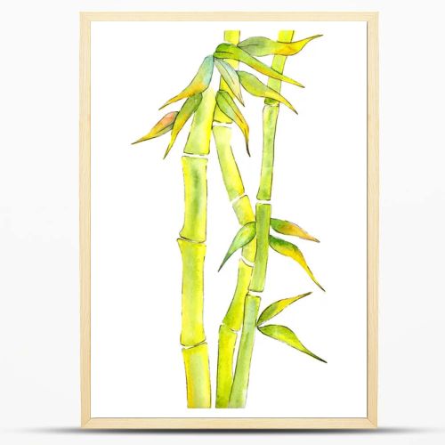 Bamboo Green leaves and steam. Watercolor background illustration set. Isolated bamboo illustration element.