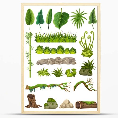 Set of various jungle objects illustration