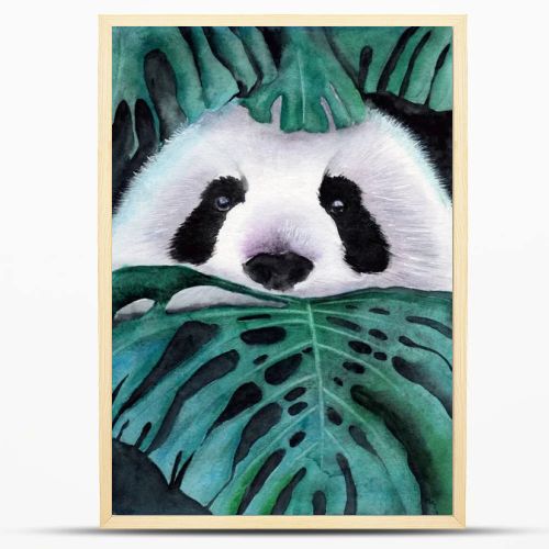 Watercolor illustration of a cute white and black panda peeking out from green tropical monstera leaves
