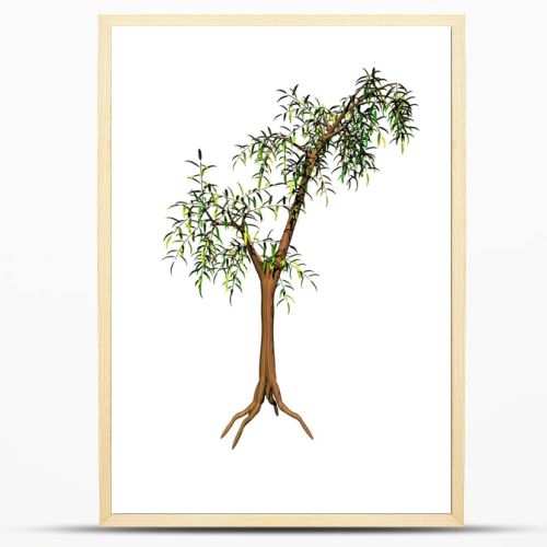 Bamboo tree