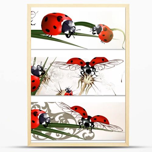 Business cards set with beetles in nature style