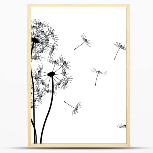 Vector dandelion