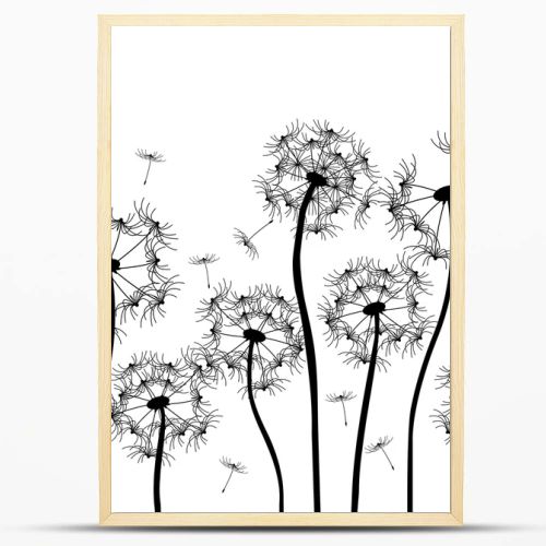 Vector dandelion