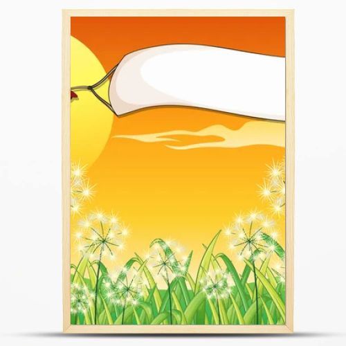 An airplane with the empty banner