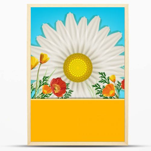 Beautiful card with daisies and poppies