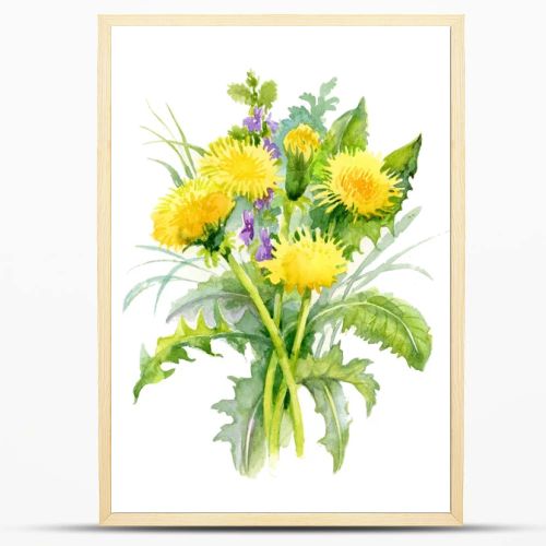 Watercolor dandelions