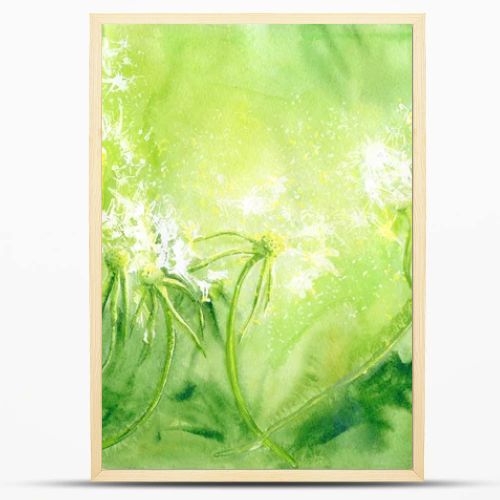 Watercolor background with dandelions