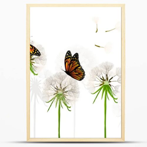 Dandelions with butterflies. Vector illustration