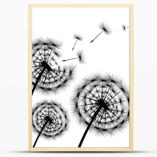 Black silhouette of a dandelion on a white background