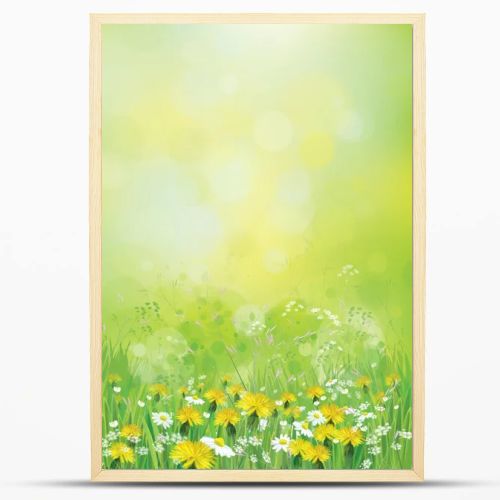 Background with chamomiles and dandelions