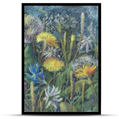 field flowers in summer