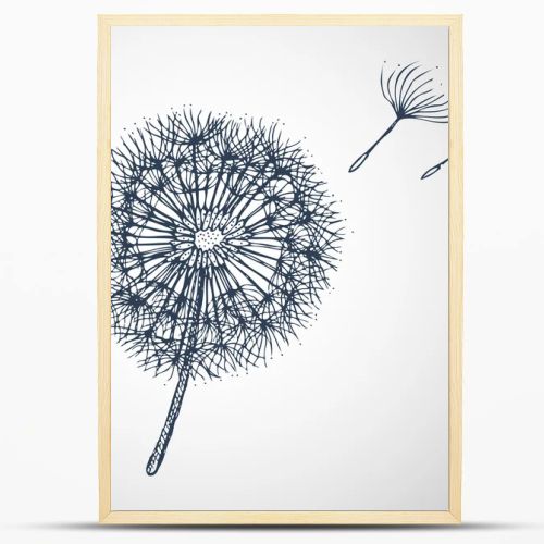 dandelion vector hand drawn