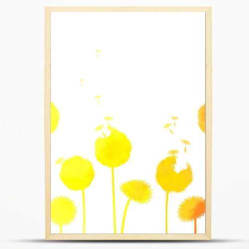 Dandelions background