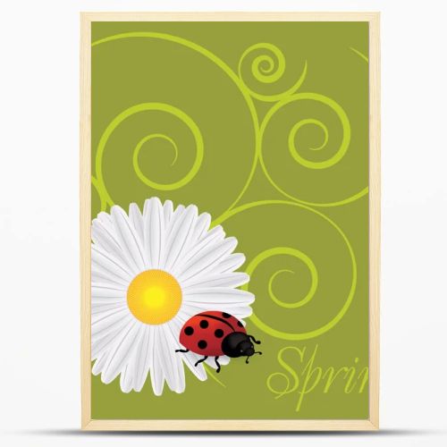 Background with dandelions and ladybug