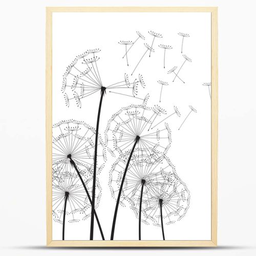 Black vector dandelions