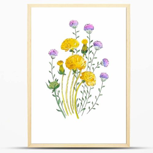 Dandelion and herbs watercolor illustration hand painted in vintage manner