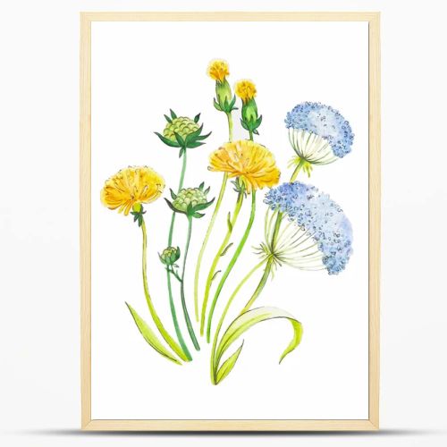 Dandelion and herbs watercolor illustration hand painted in vintage manner