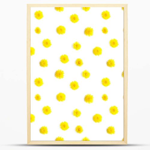 Pattern made from natural yellow wildflowers. Abstract floral composition. Frame of plants. Top view, flat lay. Floral, plants background. Mother's Day, March 8 background