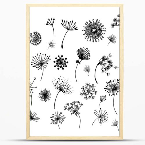 Hand-drawn doodle set of dandelions, can be used for cards and stickers. Set of abstract graphic doodle dandelions. Decorative Elements for design, dandelions.