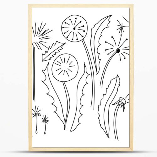 Vector doodle set illustration dandelion with seeds for design