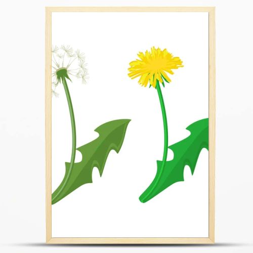 Dandelion raster icon