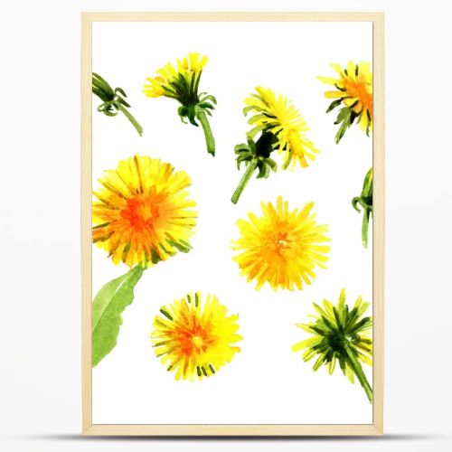 Set of watercolor dandelions.