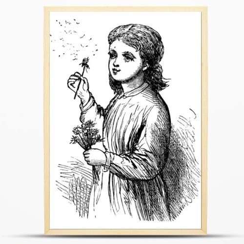Young Girl Gliding Dandelions by blast of air., vintage line drawing or engraving illustration. 
