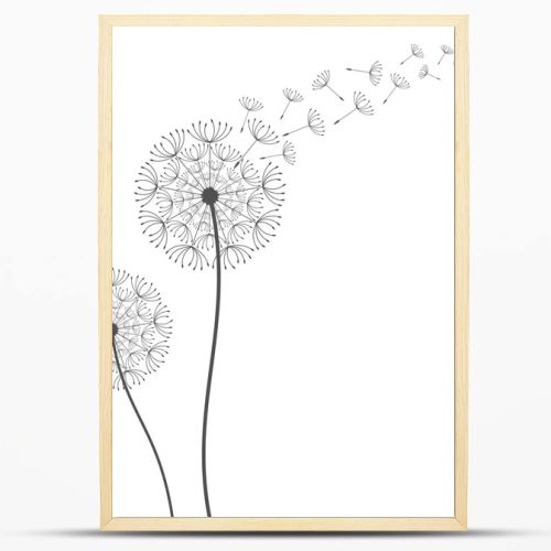 Dandelion background. Vector illustration